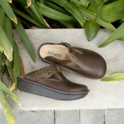 Cheap Alegria Shoes Store -Cheap Alegria Shoes Store 0000 ALG 7412