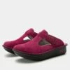 Shoes Classic Magenta Shoe