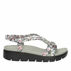 Roz Lovely Grey Sandal -Cheap Alegria Shoes Store ROZ 7552 S2 5b9ac536 5bbd 4716 8ad4 75deead188f2