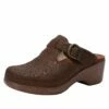 Shoes Selina Tawny Delicut Shoe